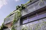 Hanging Gardens
